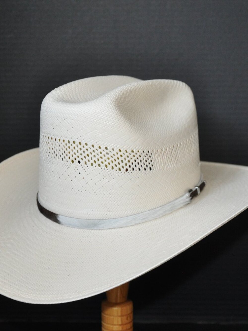 Charlie 1 Horse Countin'Chickens